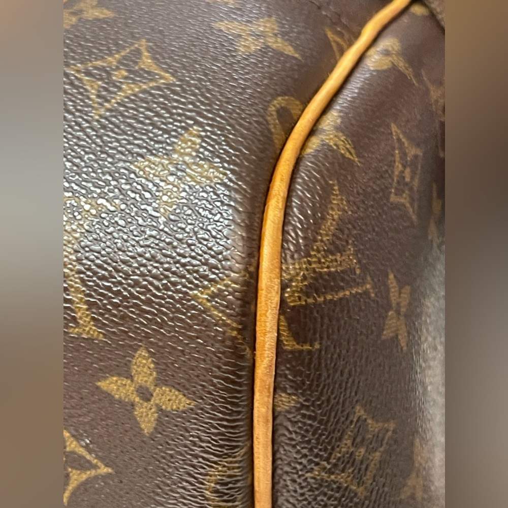 Louis Vuitton Brown and Gold Travel Bag - Picture 13 of 16